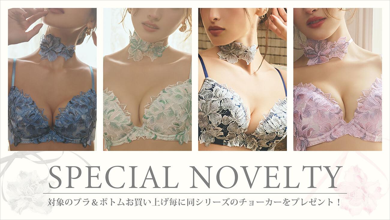 ブラ&ボトムのSET購入でお揃いチョーカープレゼント!!