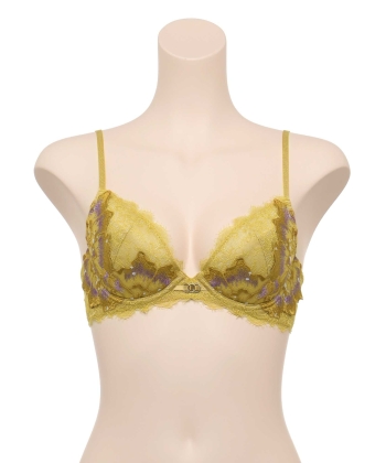 アルタイル グラマーアップ ブラ