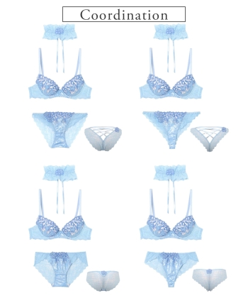 ミルキーウェイ グレースシルク ブラ