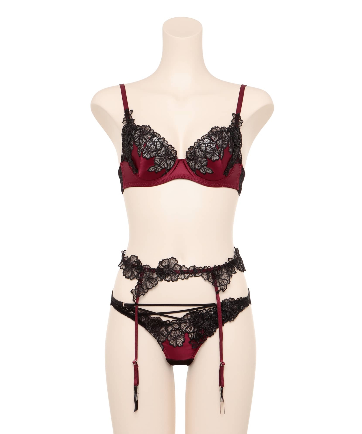 カシオペア ガーター