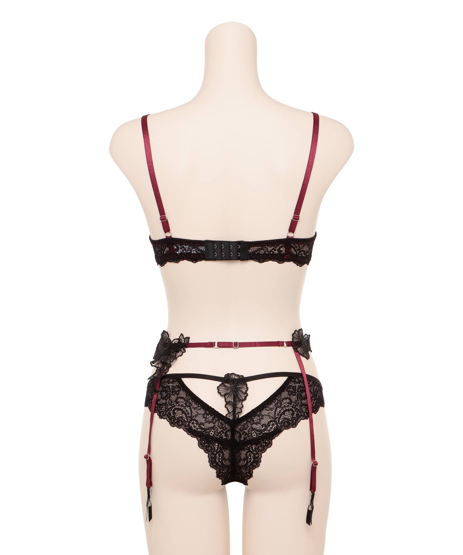 カシオペア ガーター