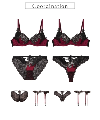 カシオペア ガーター