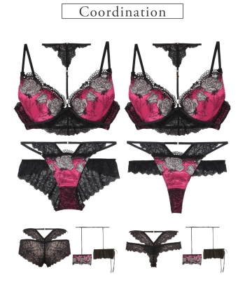 パレスガーデン Tバック