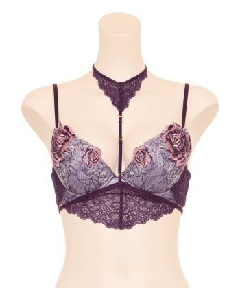 ロージールアー グラマーアップ ブラ