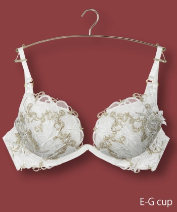 ロマネスク トリックリフト ブラ