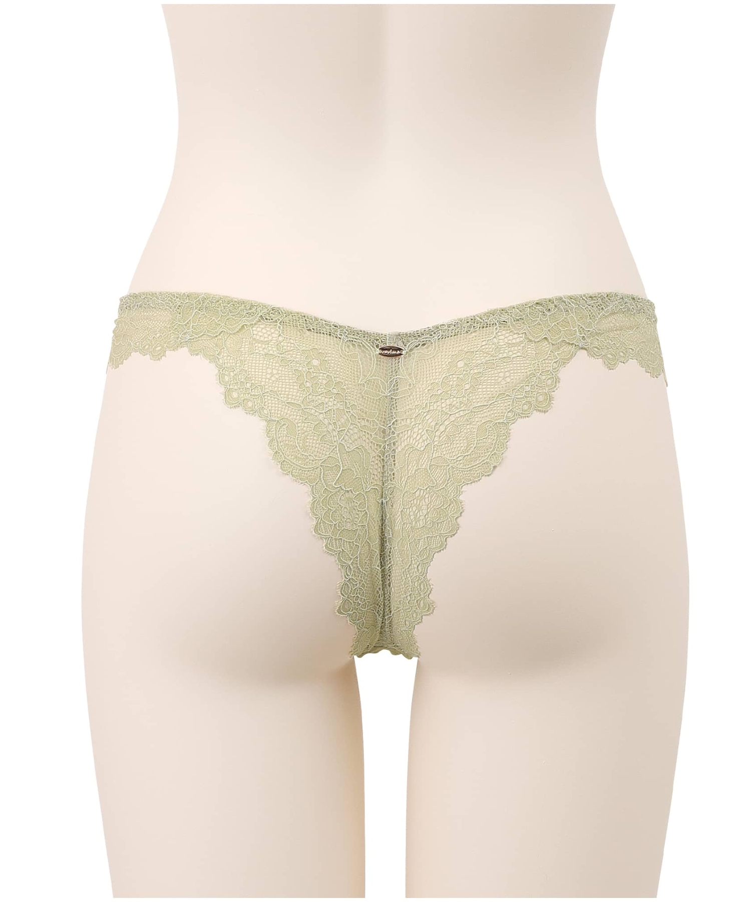 オールドフラワー イージーソング