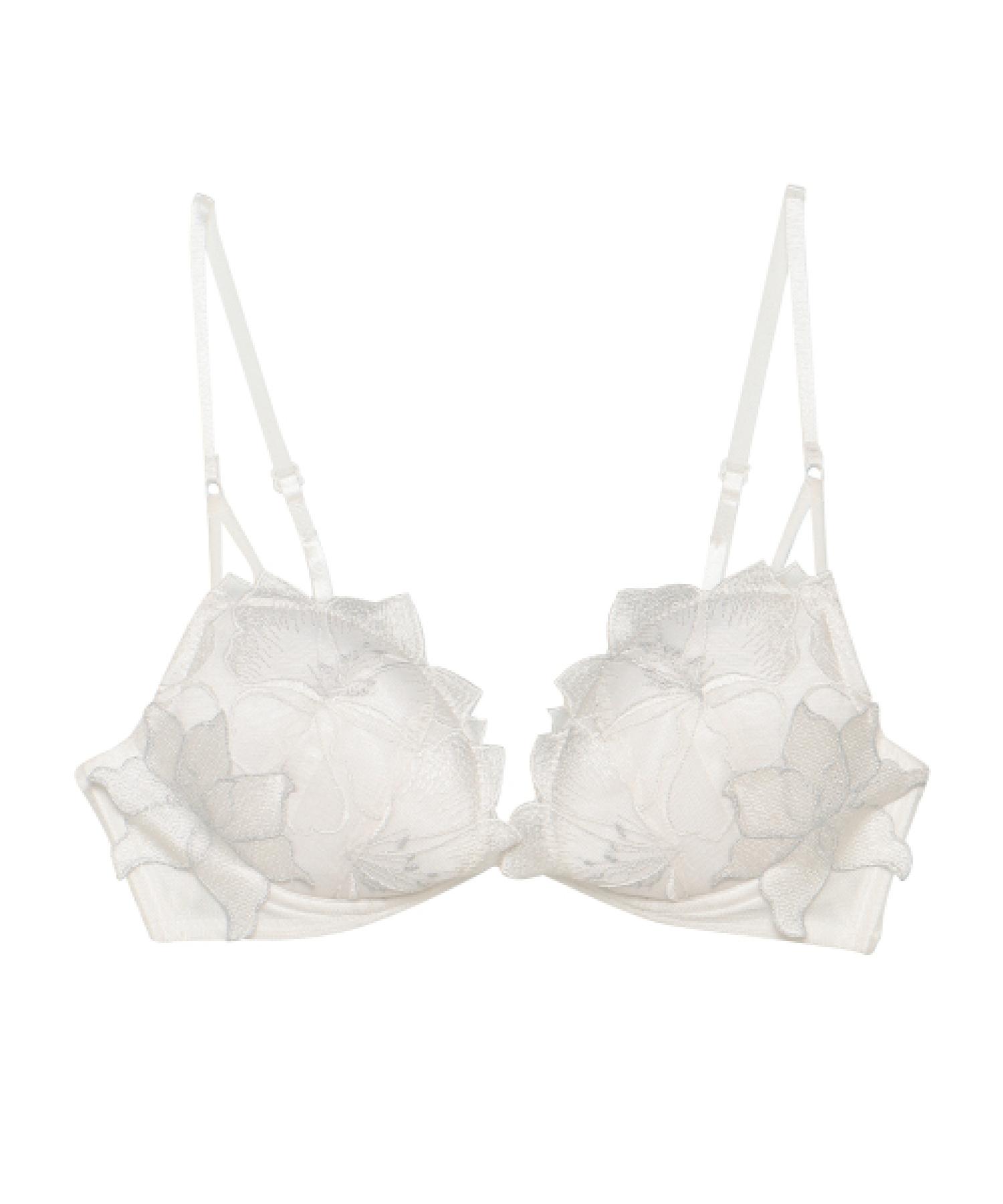 フルブルーム ホットリフト