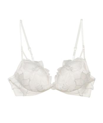 フルブルーム ホットリフト