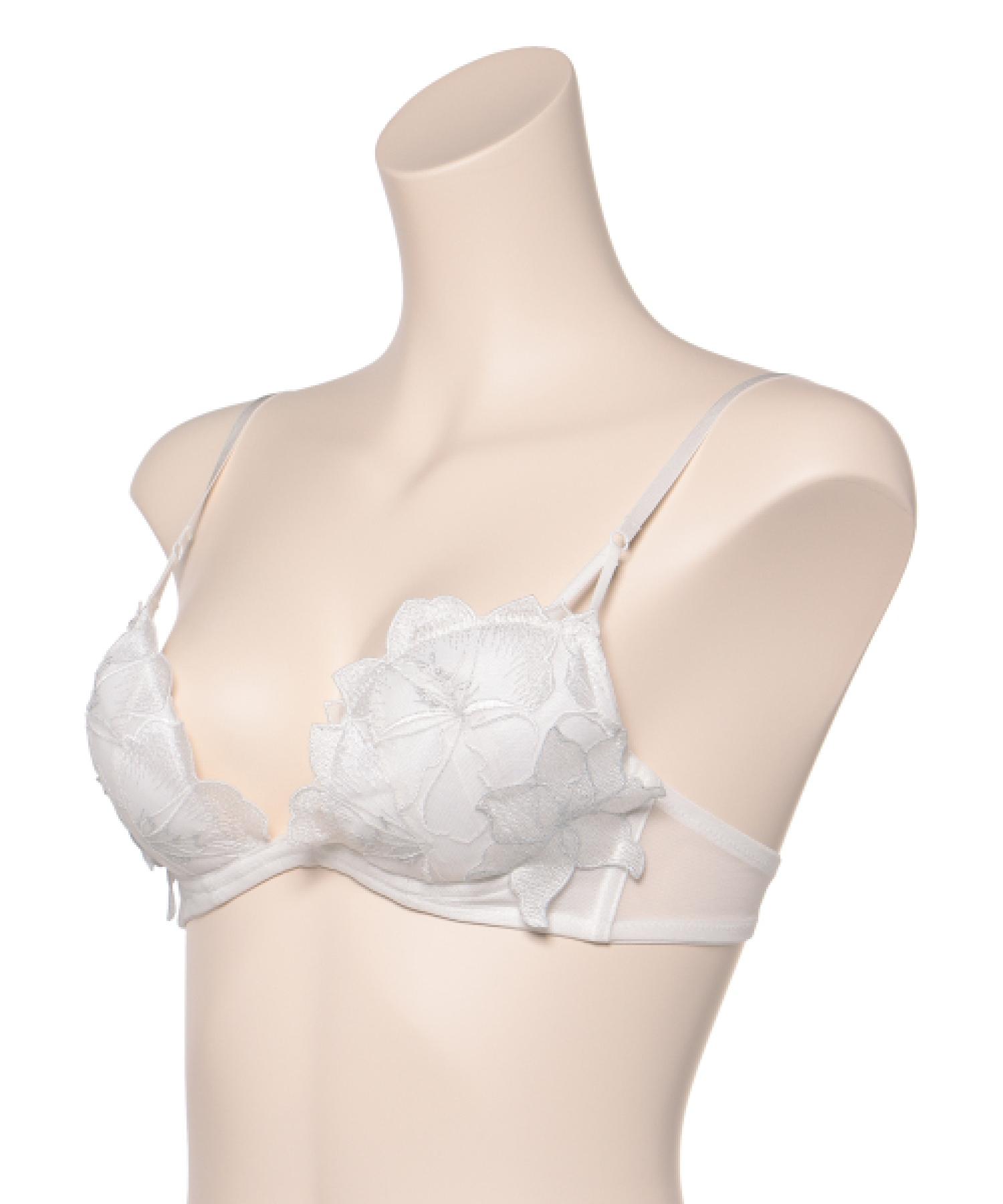 フルブルーム ホットリフト