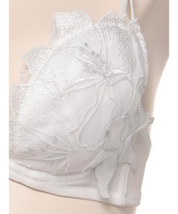 フルブルーム ホットリフト