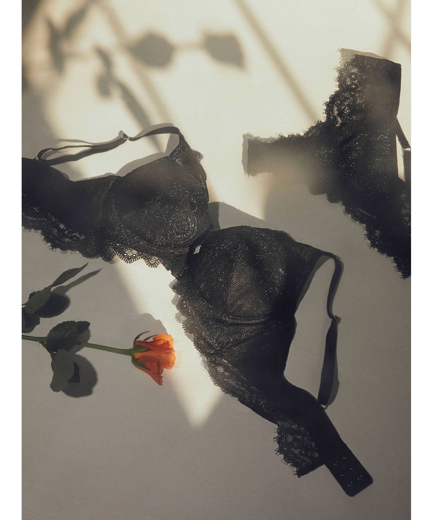 ウォルトクチュール シャープメイク ブラ