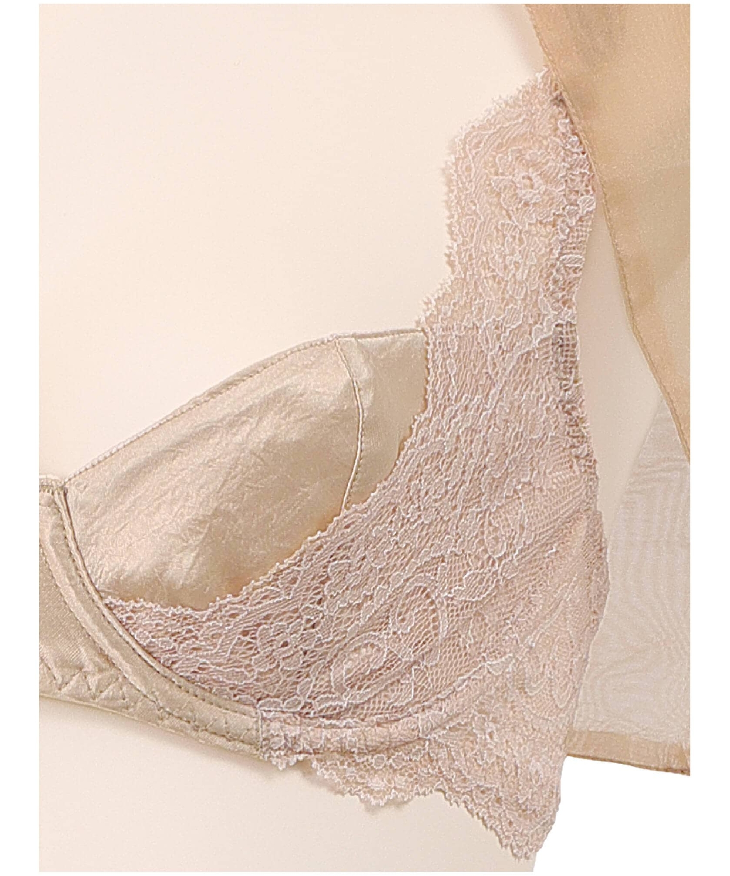 [山本ソニアさんとコラボ♪] アンジェリーナ ブラ・Tバックセット