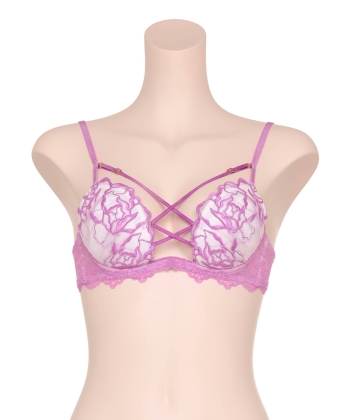 ラヴィッシュローズ ホットリフト ブラ