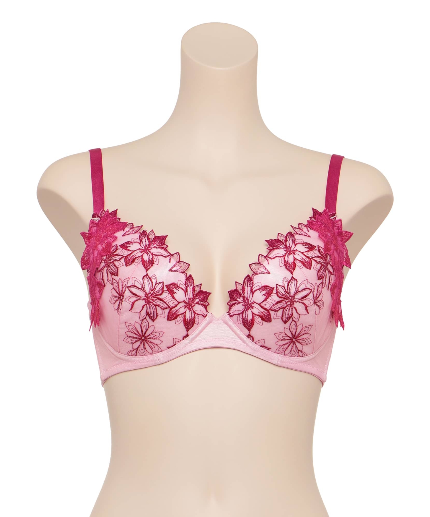 クレマチス グラマーアップ ブラ