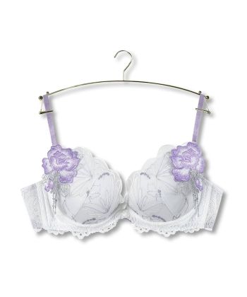 シャイニーバタフライ グラマーアップ ブラ