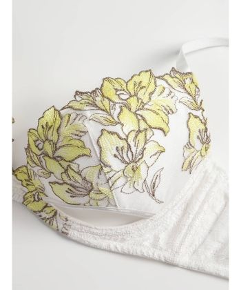 レミニセンス グラマーアップ ブラ