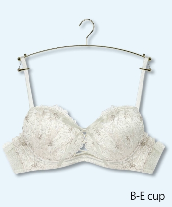 ラディアント ホットリフト ブラ