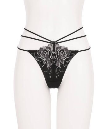 シャインベロナ Tバック