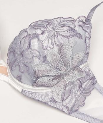 ヴェリシア グラマーアップ ブラ