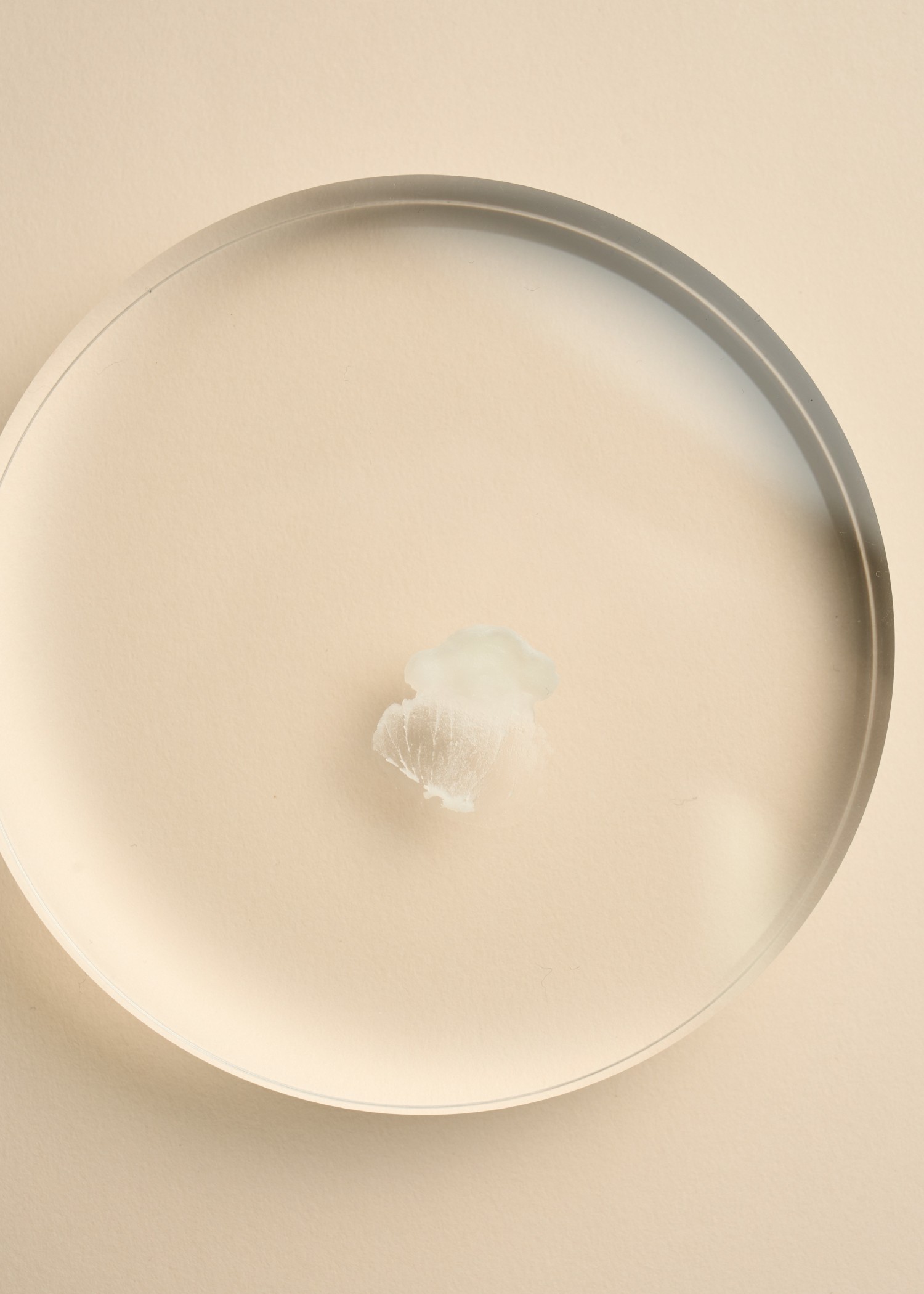 【ELBT】Solid Perfume Premium