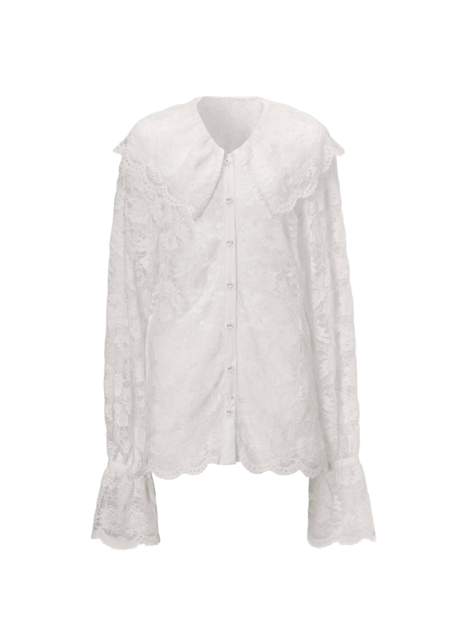 scallop all over lace candy sleeve BL