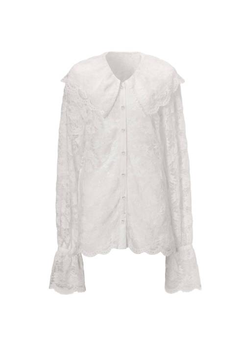 scallop all over lace candy sleeve BL