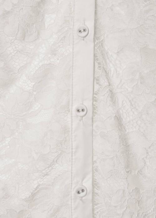 scallop all over lace candy sleeve BL
