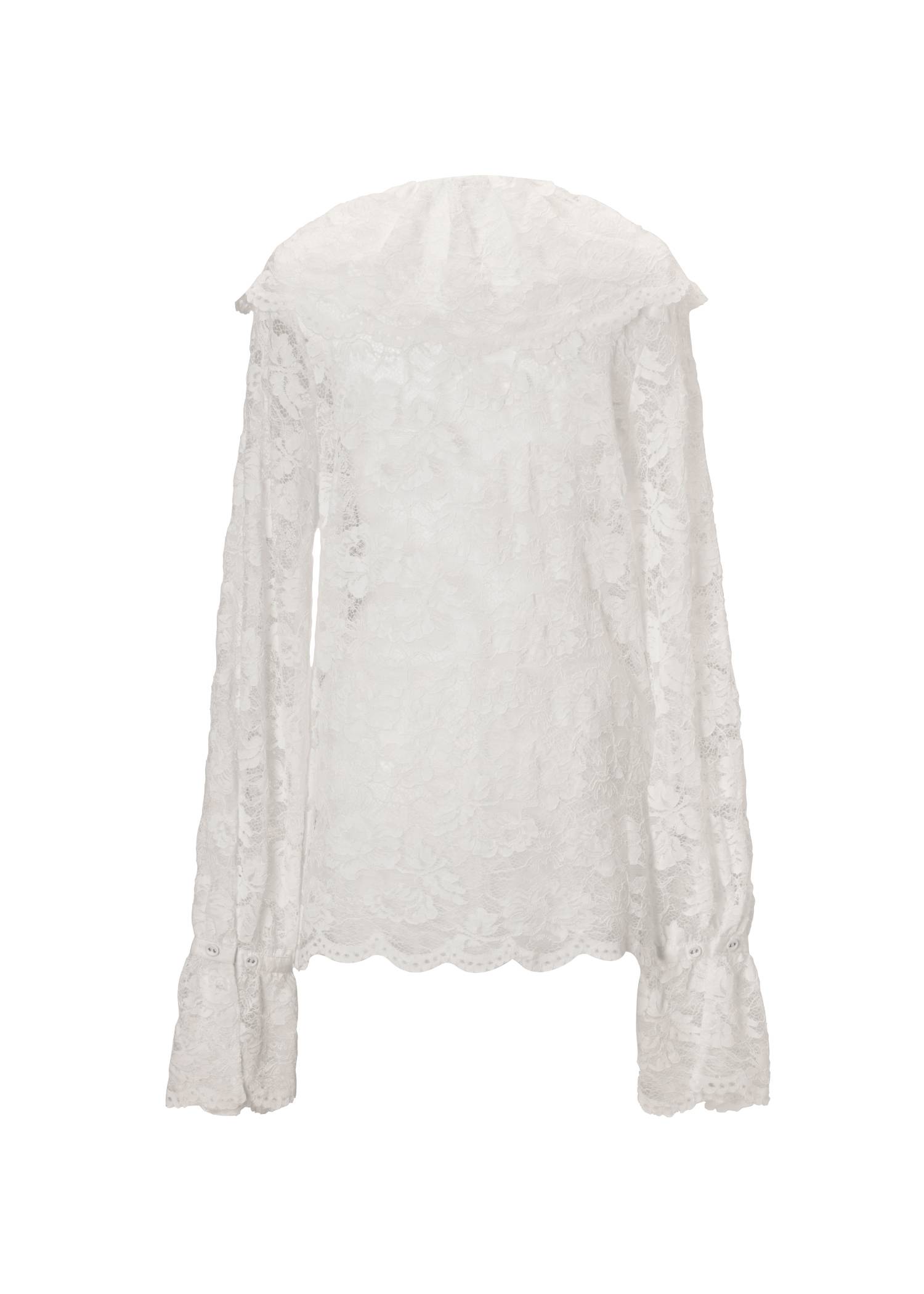 scallop all over lace candy sleeve BL