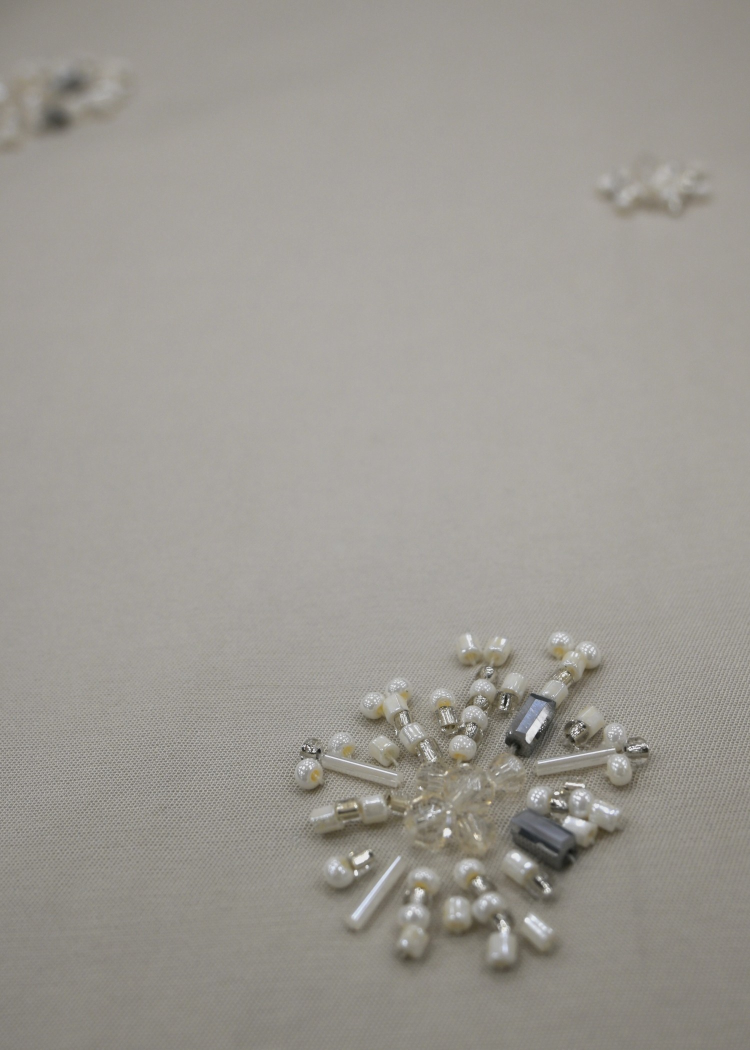 bijou motif sheer sleeve graceful OP